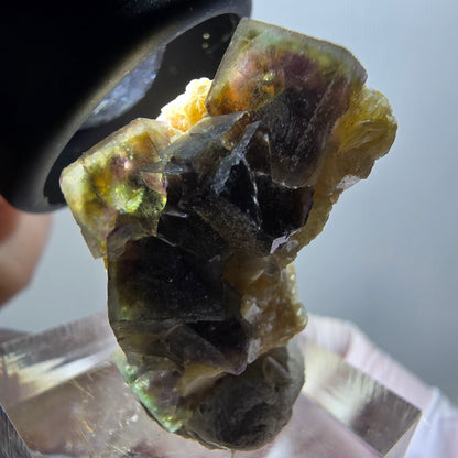 Spécimen de fluorite fantôme colorée, tourmaline schorl et muscovite d'Erongo, Namibie, 30 x 22 x 18 mm, n° 11957 