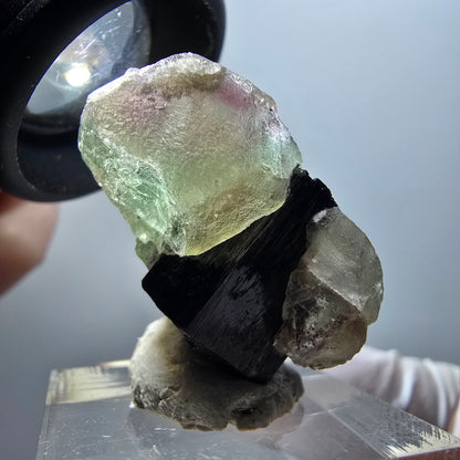 Fluorite fantôme, Hyalite, Schörl Tourmaline Stage Erongo, Namibie 31*24*18mm #11960 