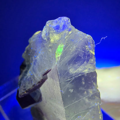 Fluorite fantôme transparente, hyalite, tourmaline Schörl Stage Erongo, Namibie 34*25*14mm #11961 