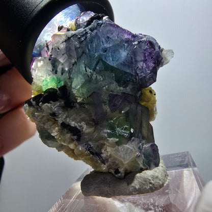 Fluorite fantôme, Tourmaline Schörl, Stade muscovite Erongo, Namibie 37*36*20mm #11967 