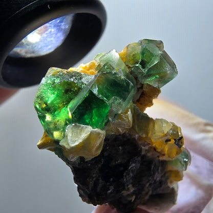 Fluorite fantôme, Tourmaline Schörl, Stade muscovite Erongo, Namibie 41*25*20mm #11968 