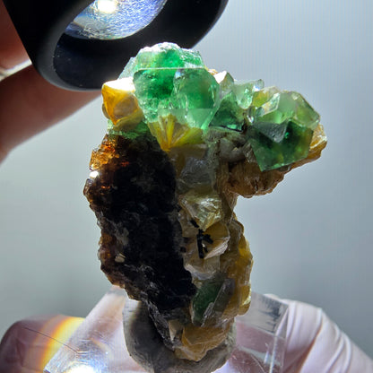 Fluorite fantôme, Tourmaline Schörl, Stade muscovite Erongo, Namibie 41*25*20mm #11968 