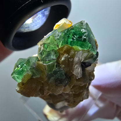 Fluorite fantôme, Tourmaline Schörl, Stade muscovite Erongo, Namibie 41*25*20mm #11968 