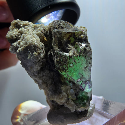 Fluorite fantôme, Tourmaline Schörl, Stade muscovite Erongo, Namibie 39*30*24mm #11969 