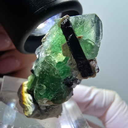 Fluorite fantôme, Tourmaline Schörl, Stade muscovite Erongo, Namibie 33*19*17mm #11971 
