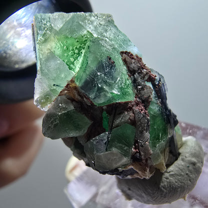 Fluorite fantôme, Tourmaline Schörl, Stade muscovite Erongo, Namibie 33*19*17mm #11971 