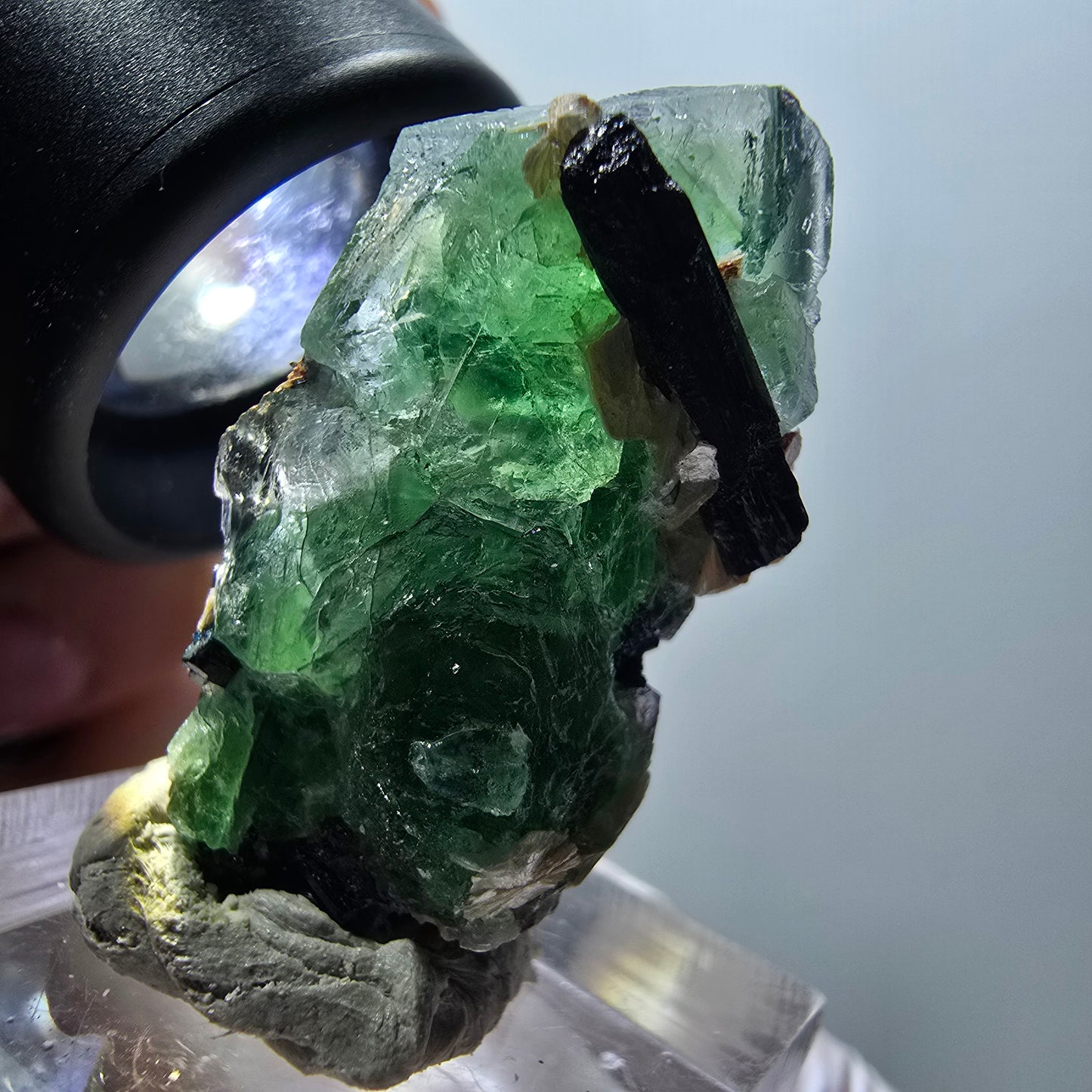 Fluorite fantôme, Tourmaline Schörl, Stade muscovite Erongo, Namibie 33*19*17mm #11971 