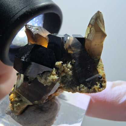 Rare spécimen de quartz fumé et de tourmaline schorl, Erongo, Namibie, 39 x 26 x 21 mm, n° 11972 
