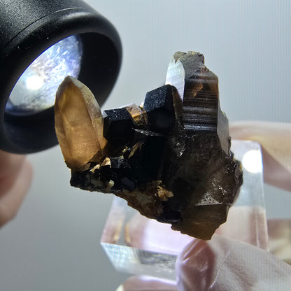 Rare spécimen de quartz fumé et de tourmaline schorl, Erongo, Namibie, 39 x 26 x 21 mm, n° 11972 