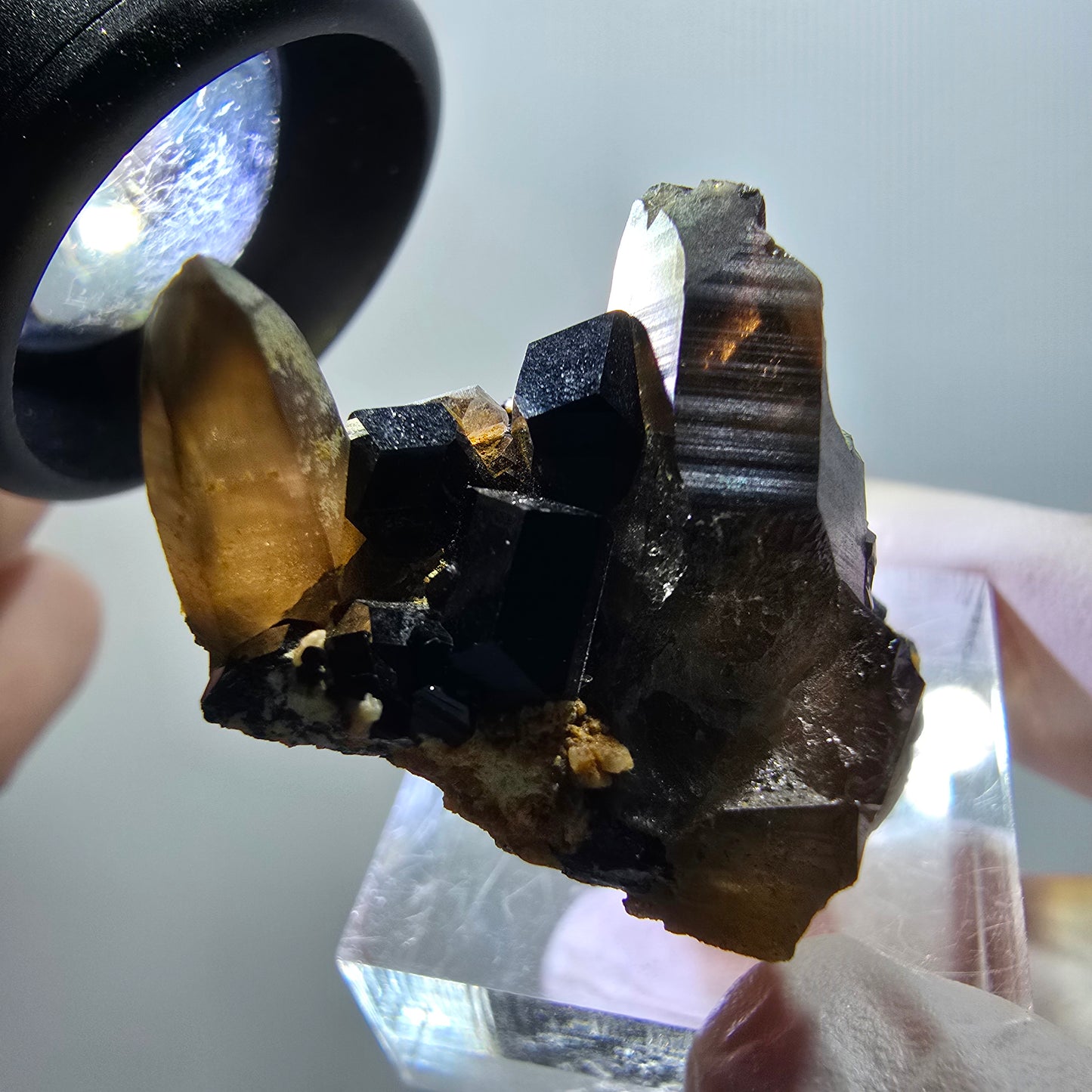 Rare spécimen de quartz fumé et de tourmaline schorl, Erongo, Namibie, 39 x 26 x 21 mm, n° 11972 