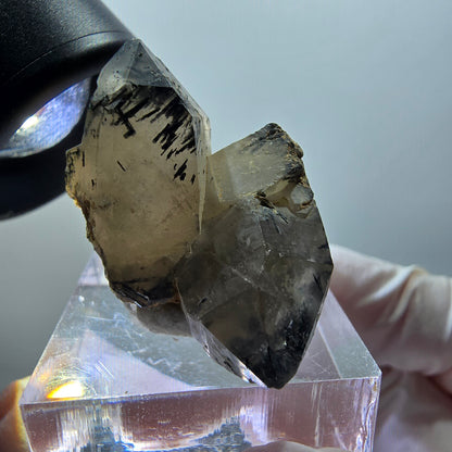 Beautiful tourmaline quartz, skeleton smoky quartz specimen Erongo, Namibia 32*22*17mm #11974 