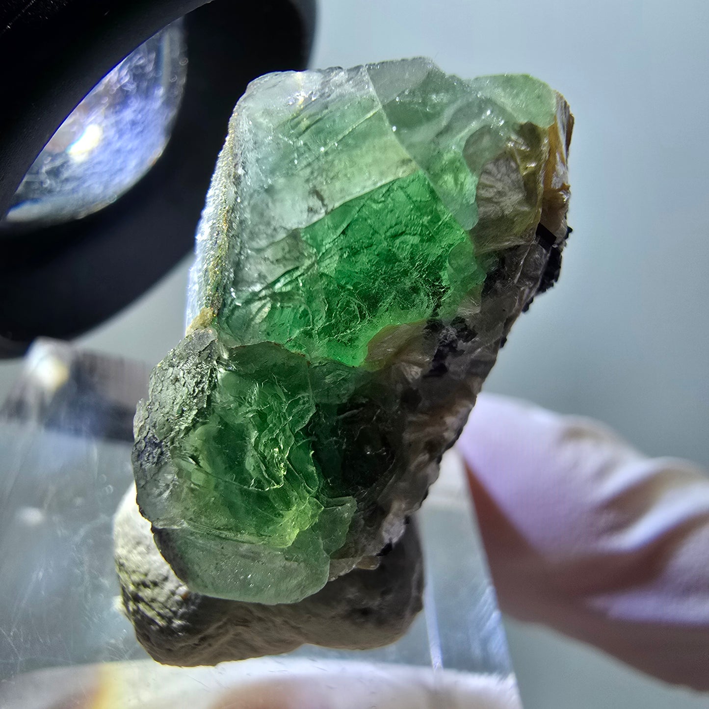 Phantom Fluorite hexagonal, Schörl Tourmaline, Muscovite Erongo, Namibia 26*17*15mm #11977
