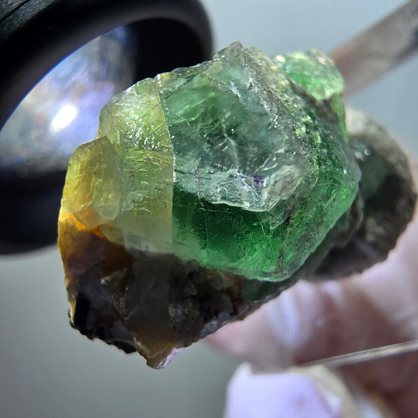 Phantom Fluorite hexagonal, Schörl Tourmaline, Muscovite Erongo, Namibia 26*17*15mm #11977