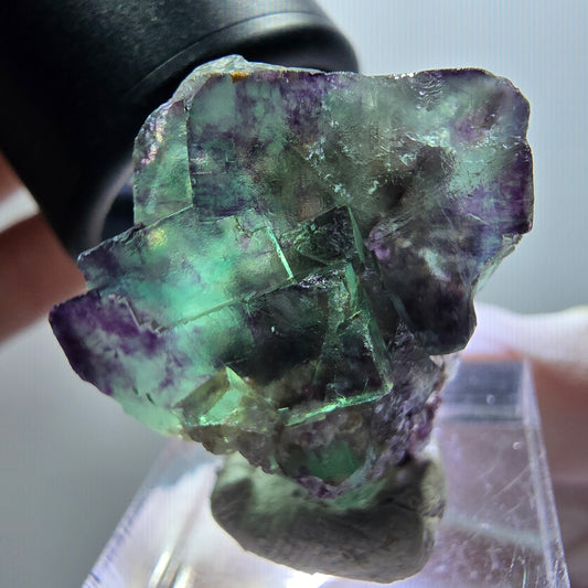 Rare phantom fluorite cube specimen, green-purple, Okorusu, Namibia, 28*21*14mm #11978 