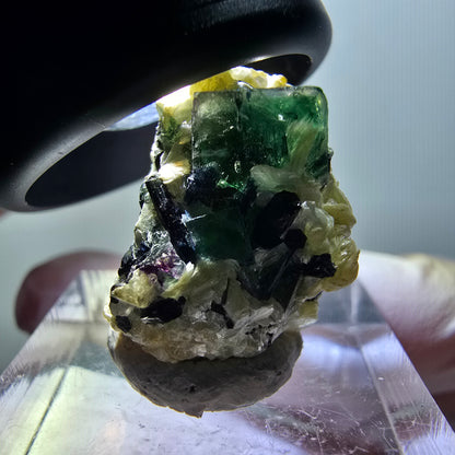 Fluorite fantôme, tourmaline Schörl, muscovite Stage Erongo, Namibie 23*15*16mm #11979 