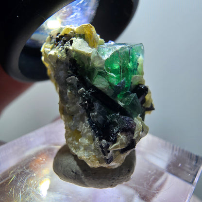Fluorite fantôme, tourmaline Schörl, muscovite Stage Erongo, Namibie 23*15*16mm #11979 