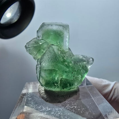 Rare spécimen de cube de fluorite fantôme, vert/blanc, Erongo, Namibie, 27*22*10mm #11981 