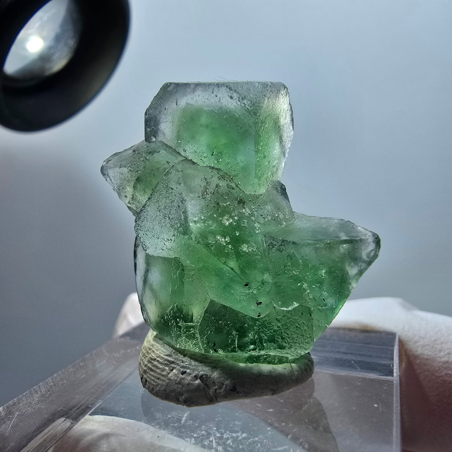 Rare spécimen de cube de fluorite fantôme, vert/blanc, Erongo, Namibie, 27*22*10mm #11981 