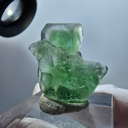 Rare spécimen de cube de fluorite fantôme, vert/blanc, Erongo, Namibie, 27*22*10mm #11981 