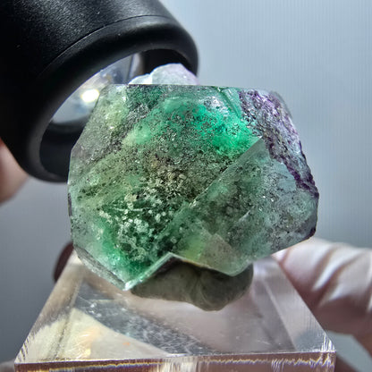 Fluorite fantôme, Tourmaline Schörl, Stade muscovite Erongo, Namibie 30*26*23mm #11984 