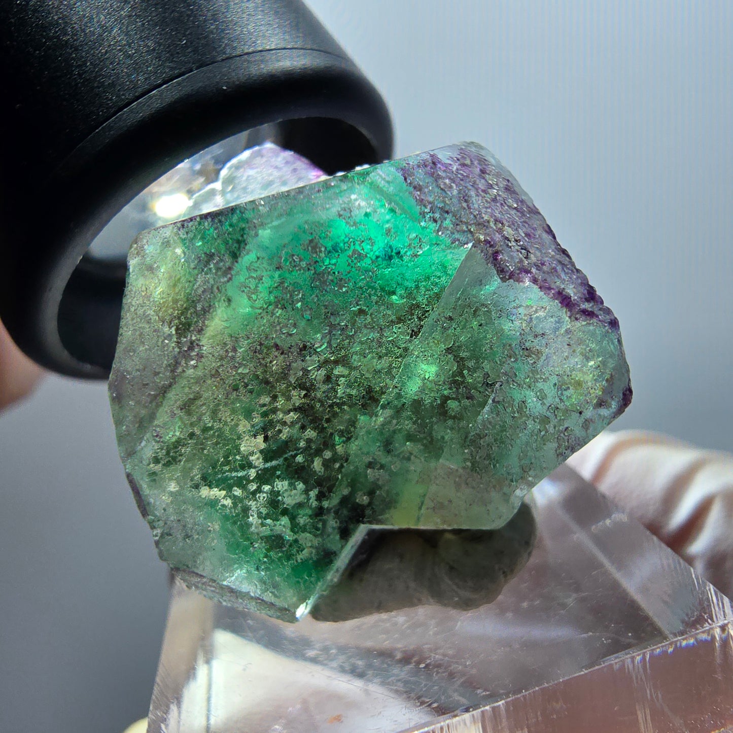Fluorite fantôme, Tourmaline Schörl, Stade muscovite Erongo, Namibie 30*26*23mm #11984 