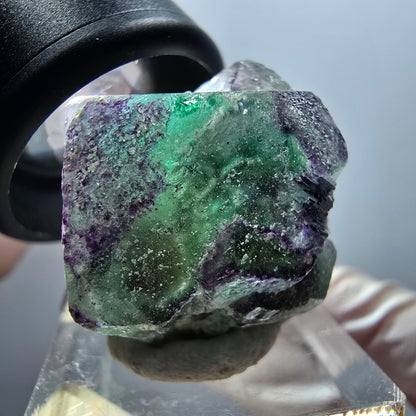 Fluorite fantôme, Tourmaline Schörl, Stade muscovite Erongo, Namibie 30*26*23mm #11984 