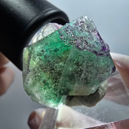 Fluorite fantôme, Tourmaline Schörl, Stade muscovite Erongo, Namibie 30*26*23mm #11984 