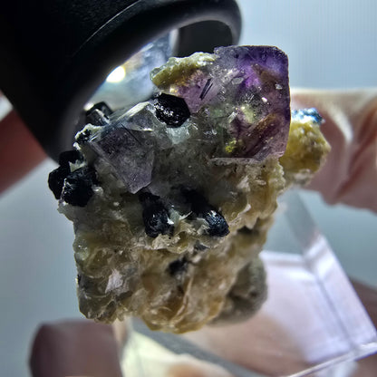 Phantom Fluorit, Schörl Turmalin, Muskovit Stufe Erongo, Namibia 30*26*17mm #11986
