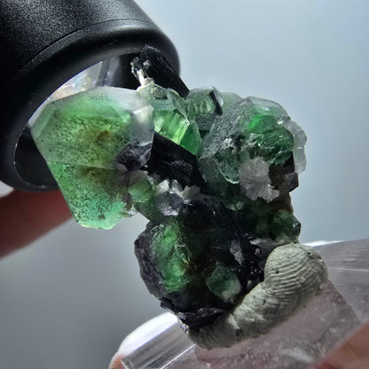 Phantom fluorite hexagonal, Schörl tourmaline, muscovite Erongo, Namibia 30*29*18mm #11988 