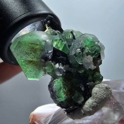Phantom fluorite hexagonal, Schörl tourmaline, muscovite Erongo, Namibia 30*29*18mm #11988 