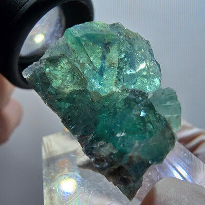 Rare spécimen de cube de fluorite fantôme, verte, Erongo, Namibie, 27*19*17mm #11990 
