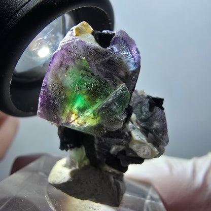 Spécimen de fluorite fantôme colorée, tourmaline schorl et muscovite d'Erongo, Namibie, 31 x 22 x 21 mm, n° 11992 