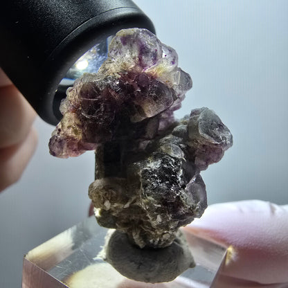 Fluorite fantôme, tourmaline Schörl, muscovite, hyalite Erongo, Namibie 41*26*23mm #11998 
