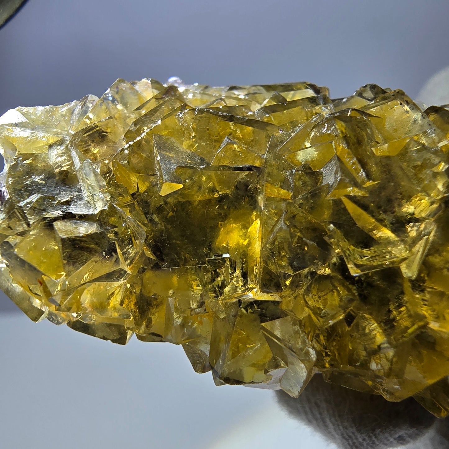 Grand spécimen de cube de fluorite fantôme, poche jaune miel, Okorusu, Namibie, 101 x 30 x 34 mm 