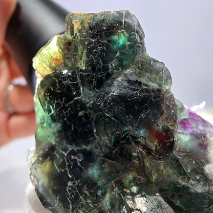 Rare spécimen de cube de fluorite fantôme, parqueté vert Okorusu, Namibie, 52 x 29 x 18 mm 
