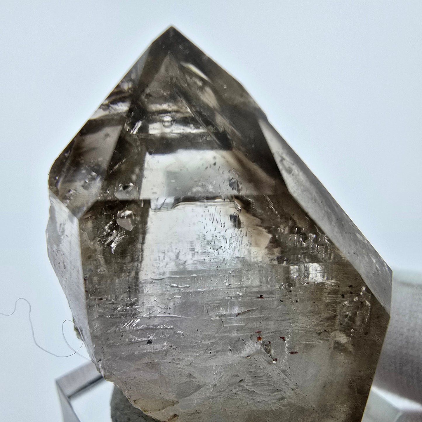 Enhydro Phantom Rauchquarz Zepter Spitze 1x Blase Goboboseb, Namibia 39*29*22mm