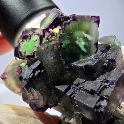 Spécimen de cube de fluorite fantôme, parqueté, zonal Okorusu, Namibie 54 x 39 x 38 mm 