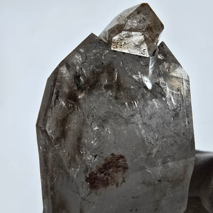 Sceptre DT Enhydro Skeleton Smoky Quartz, 2 gobos de poche Bubble Valentine. Namibie 126 x 66 x 50 mm 