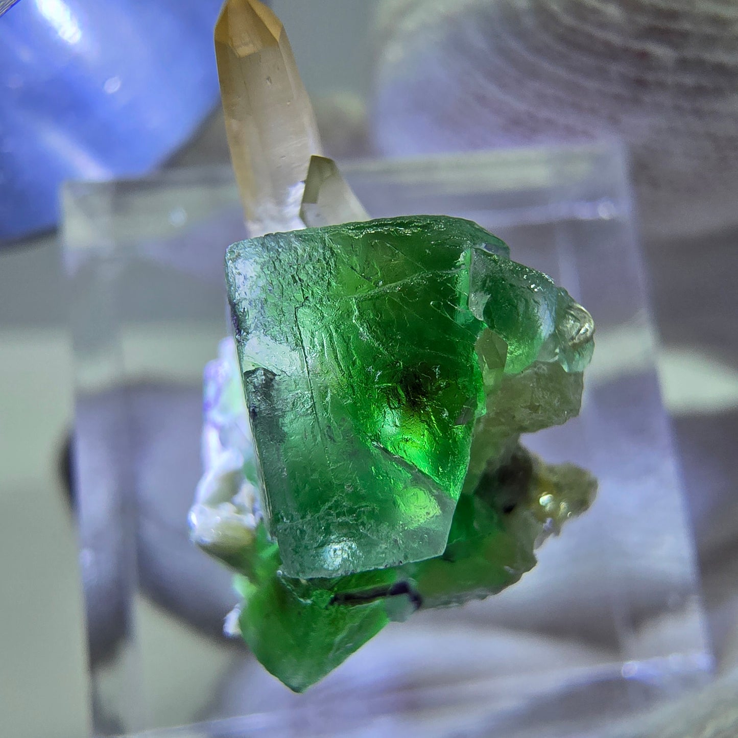 Cube de fluorite fantôme zonal, quartz fumé, spécimen de muscovite, Erongo, Namibie, 19 x 15 x 12 mm 