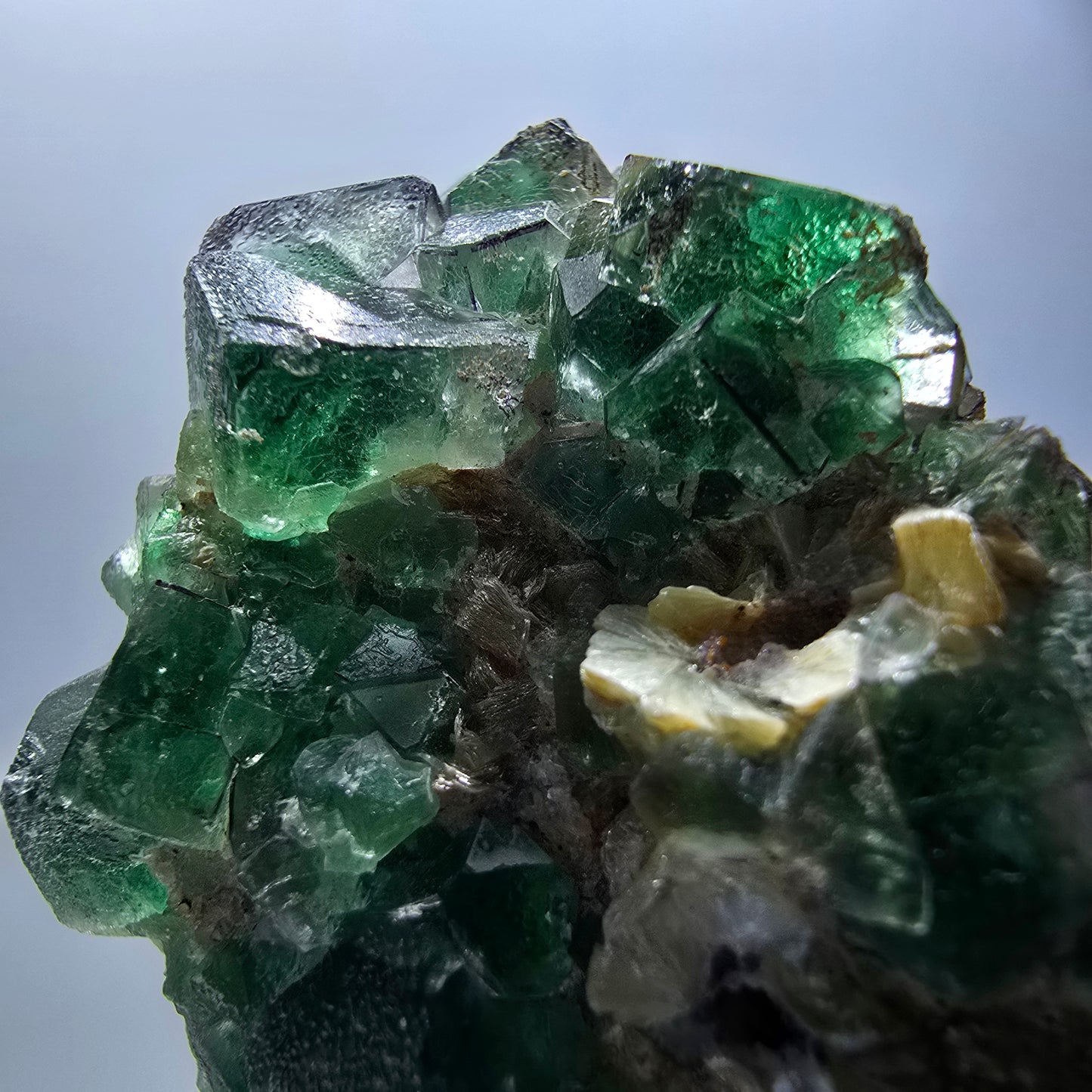 Cube de fluorite fantôme zonal, spécimen de muscovite, Erongo, Namibie, 75 x 49 x 41 mm 