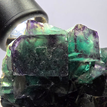 Grand spécimen de cube de fluorite fantôme, vert violet Okorusu Namibie 99*74*32mm 