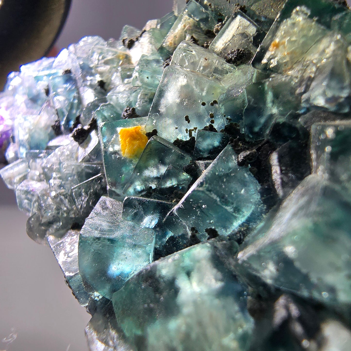Cubes rares de fluorite fantôme zonale, vert violet, Erongo, Namibie 74 x 41 x 9 mm 