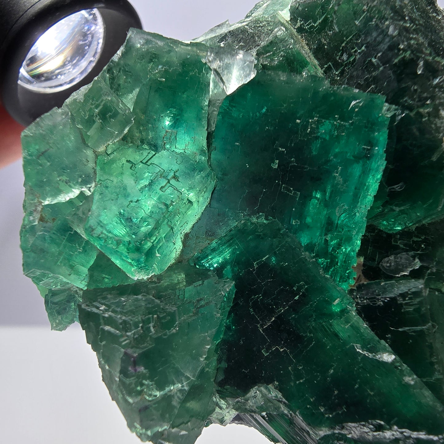 Rare spécimen de cube de fluorite fantôme, parqueté vert Okorusu, Namibie, 79 x 72 x 36 mm 