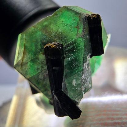 Spécimen de tourmaline Schorl hexagonale en fluorite fantôme, Erongo, Namibie, 23 x 22 x 22 mm 