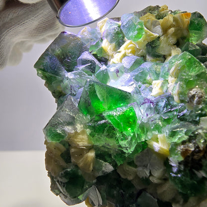 Fluorite fantôme XL, muscovite, hyalite, quartz fumé, tourmaline Schörl, Erongo, Namibie, 134 x 100 x 77 mm 