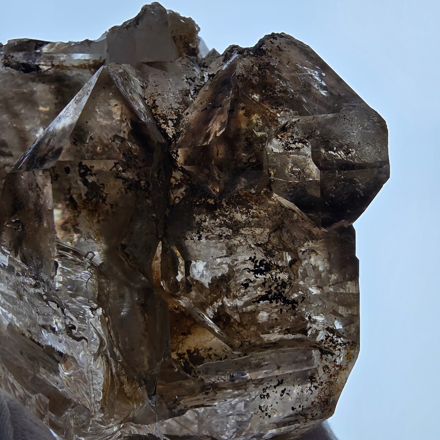 XL Enhydro Window Smoky Quartz DT Scepter, 1x Bubble Valentine Pocket Namibia 110*103*74mm 
