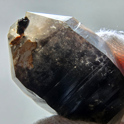Skeleton Phantom Smoky Quartz DT Scepter Valentine Pocket, Namibia 50*29*20mm 