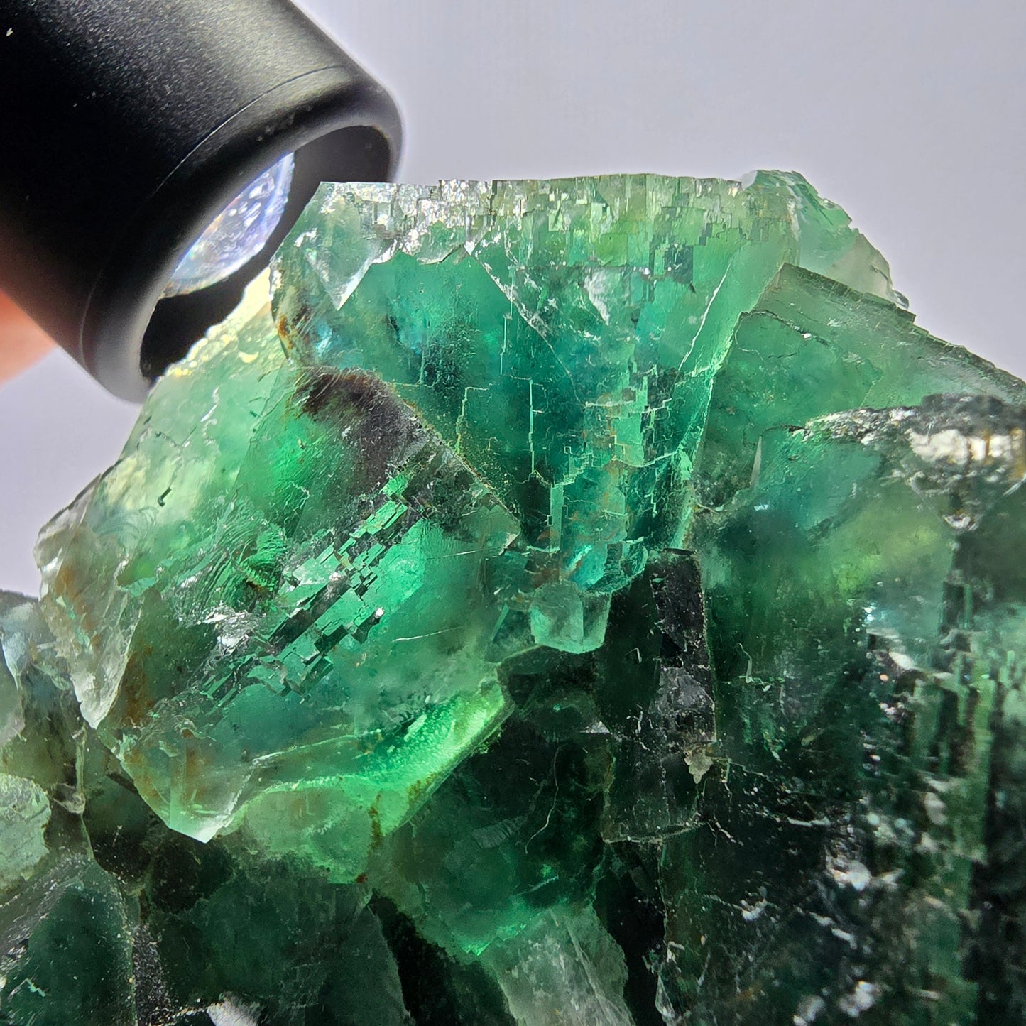 Grand spécimen de cube de fluorite fantôme, vert parqueté Okorusu, Namibie 84*80*40 mm 