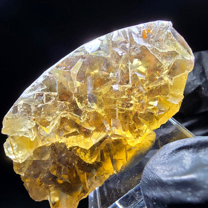 Honey Pocket Phantom Fluorite stage jaune bleu Okorusu namibie 50*28*14mm collection