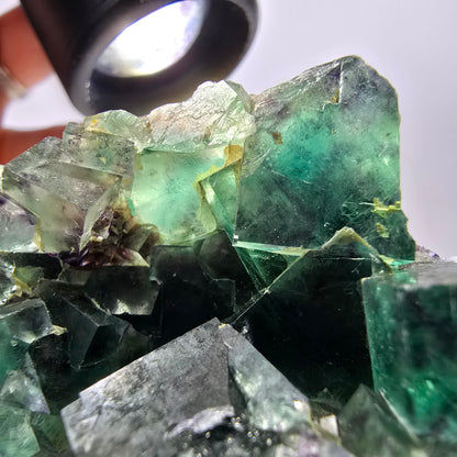 Spécimen de cube de fluorite fantôme parqueté vert violet Okorusu, Namibie 55*48*39mm 